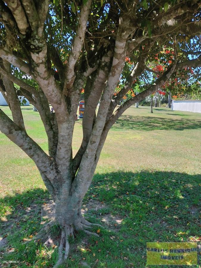 Terreno, 450 m² - Foto 19